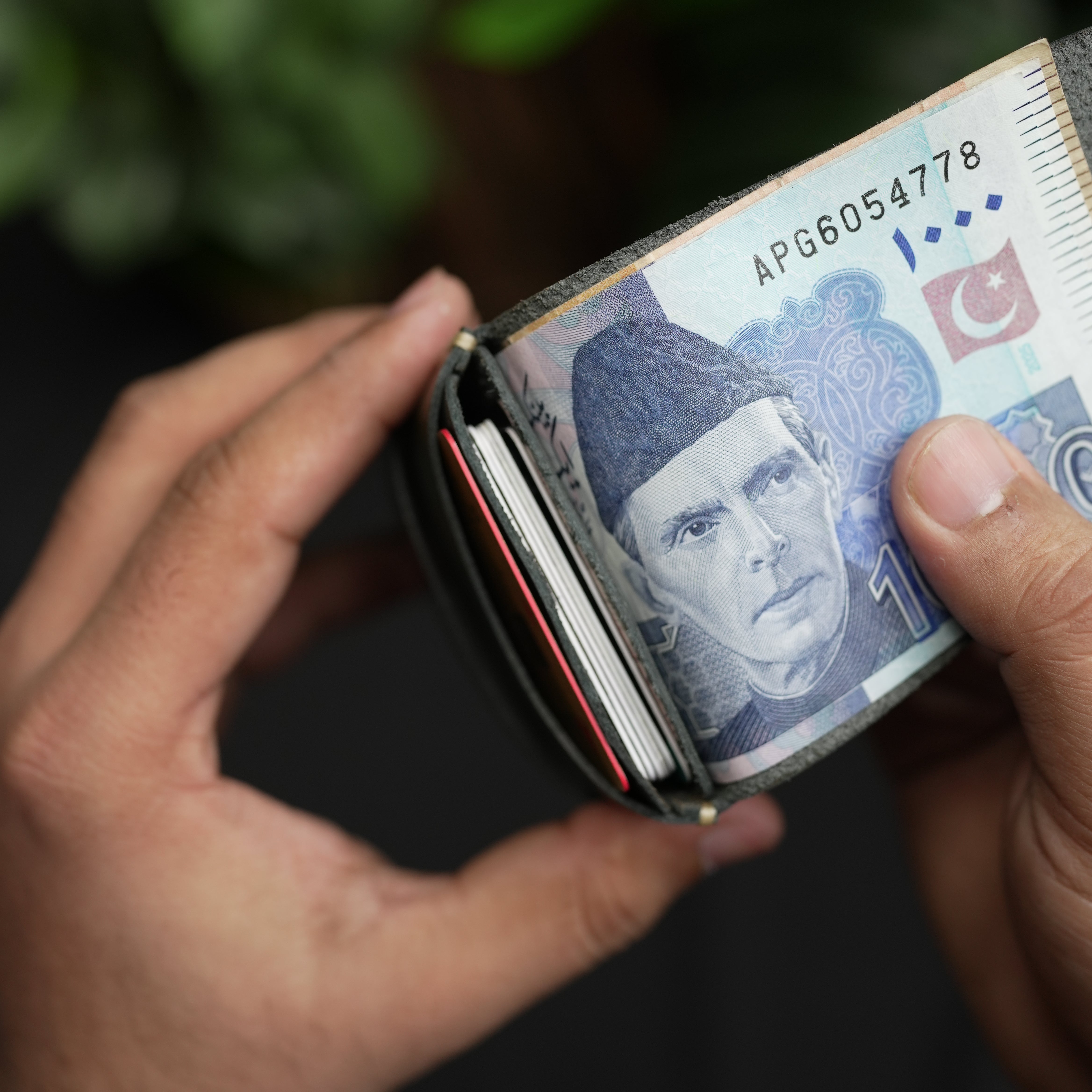 No. 101 All in one Card wallet Dark Green color